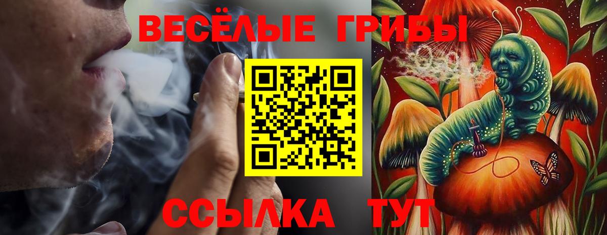 Киселёвск  Псилоцибиновые грибы MAGIC MUSHROOMS  Вход с VPN 